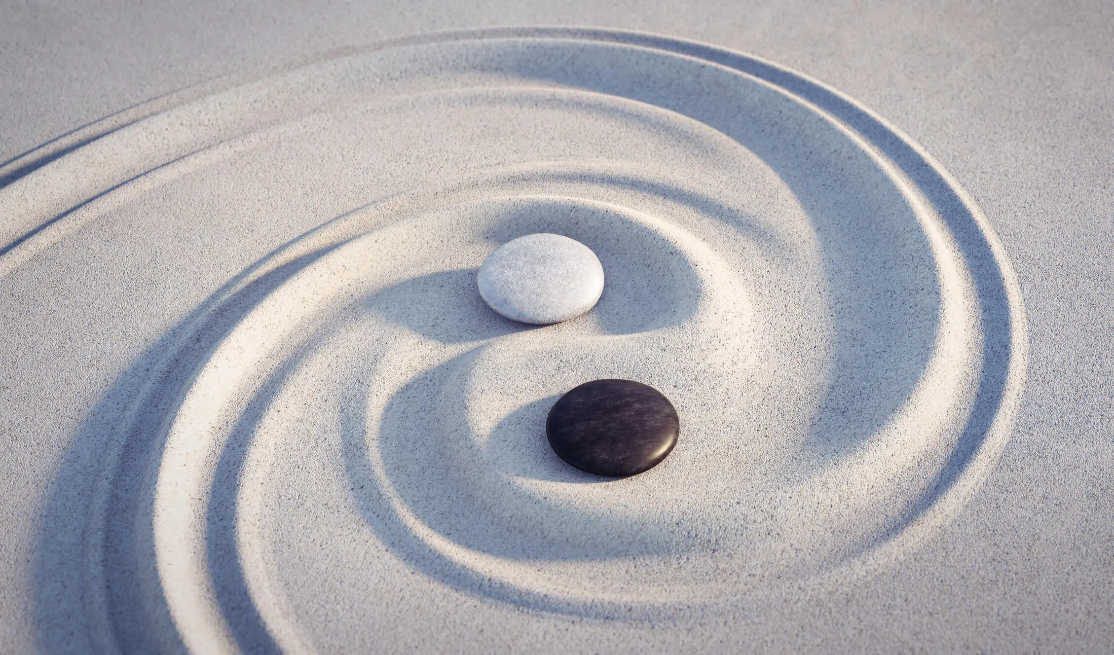 Ying Yang Ludo Coaching Individuel