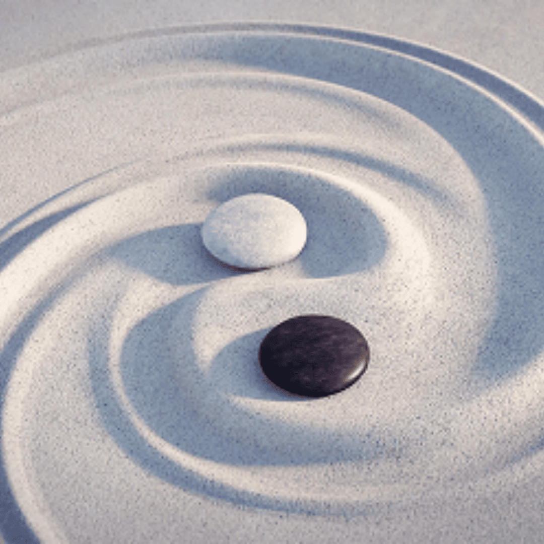 Ying Yang Ludo Coaching Individuel